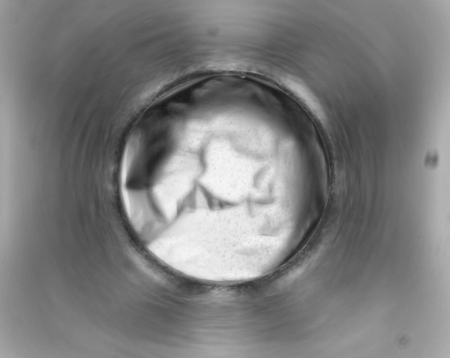 X0000090480441200708102200