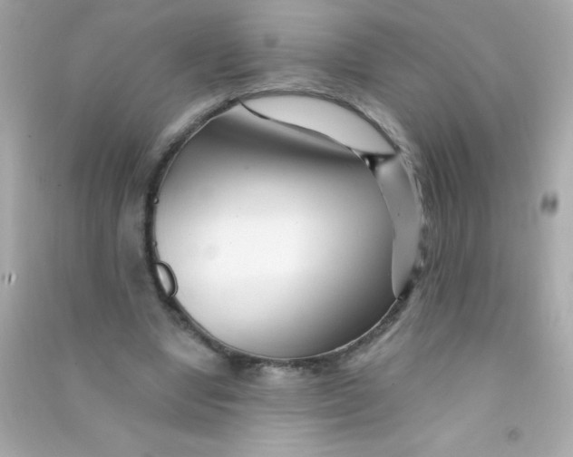 X0000090480442200708102200