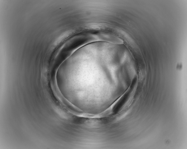 X0000090480444200708102200