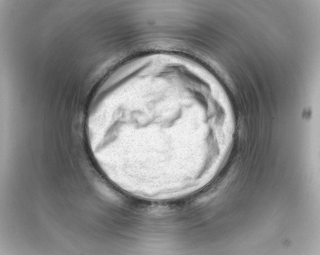 X0000090480445200708102200