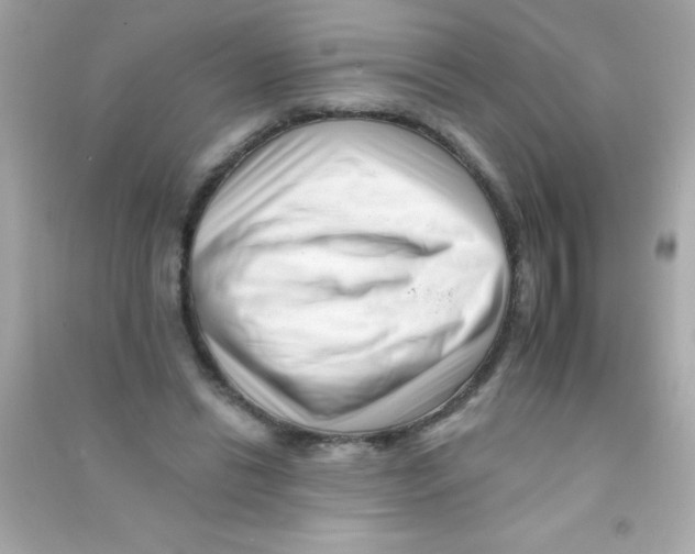 X0000090480446200708102200
