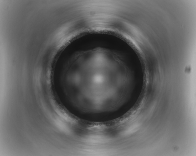 X0000090480447200708102200