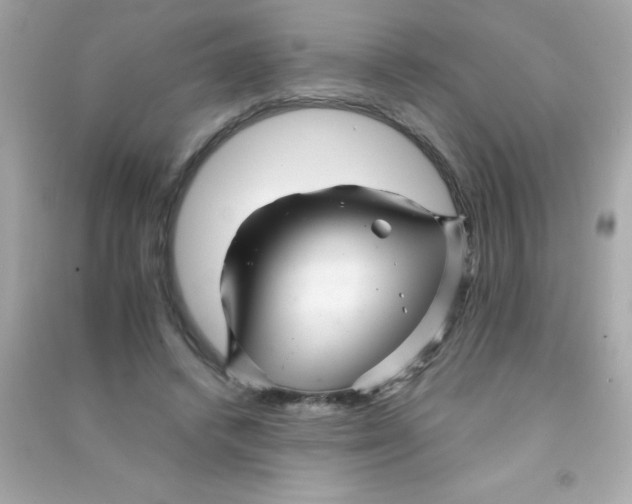 X0000090480448200708102200