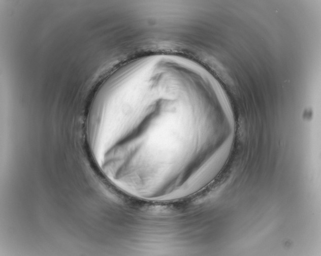 X0000090480449200708102200