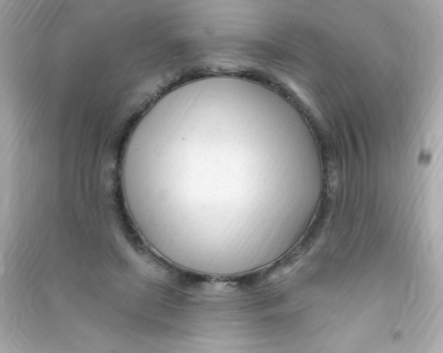X0000090480451200708102200