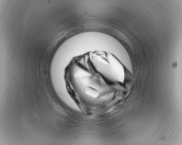 X0000090480452200708102200