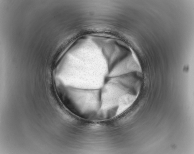 X0000090480453200708102200