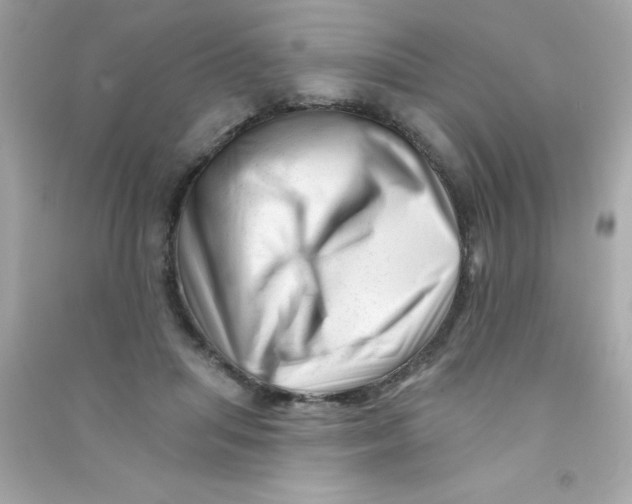 X0000090480455200708102201