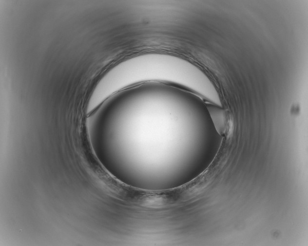 X0000090480456200708102201