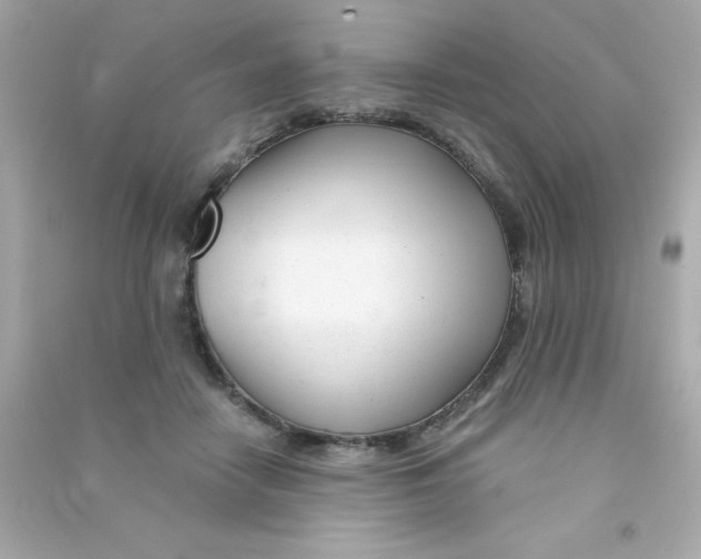 X0000090480458200708102201