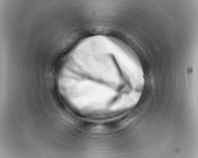 X0000090480460200708102201