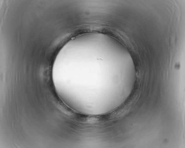 X0000090480462200708102201