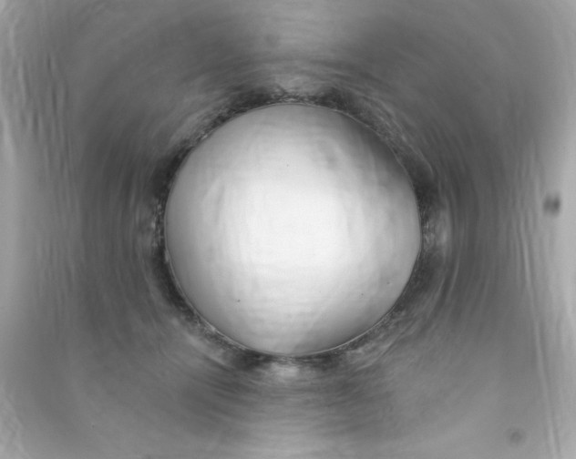 X0000090480464200708102201