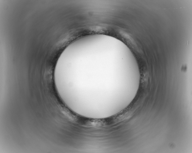 X0000090480466200708102201