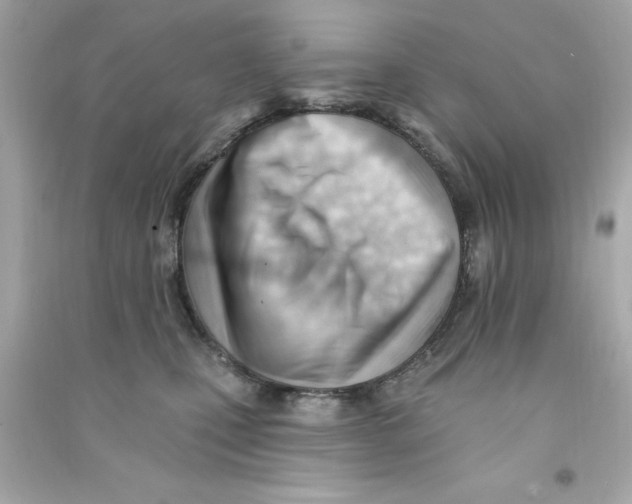 X0000090480471200708102201