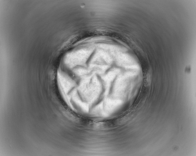 X0000090480472200708102201