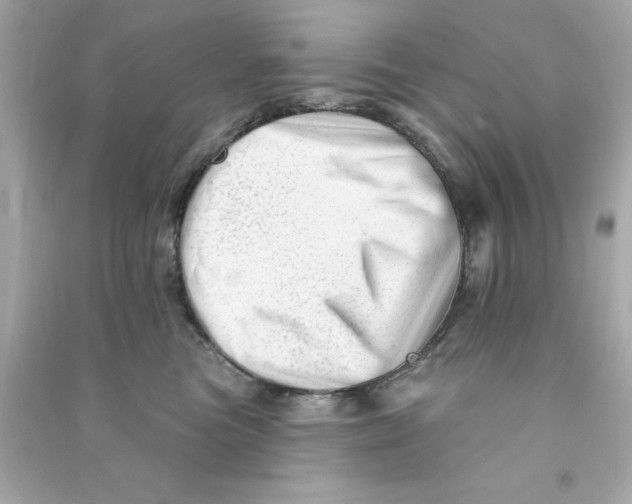 X0000090480473200708102201