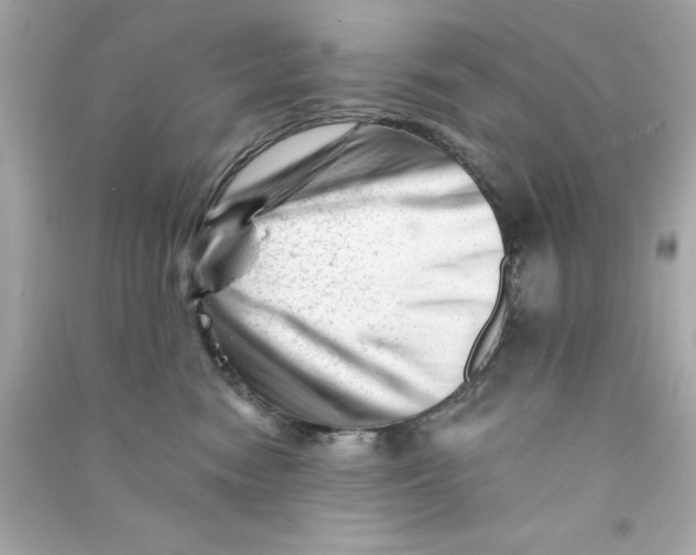 X0000090480474200708102201