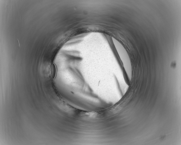 X0000090480478200708102201