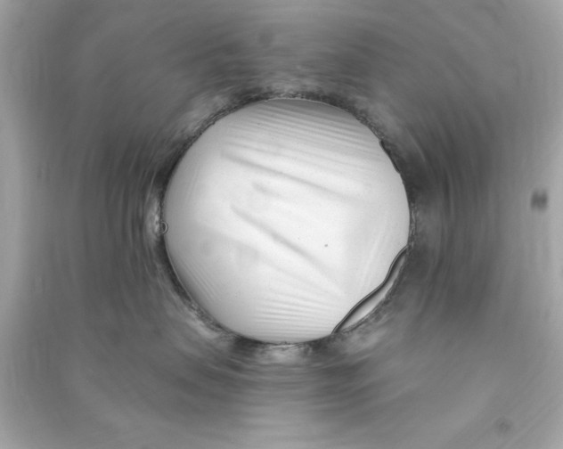 X0000090480479200708102201