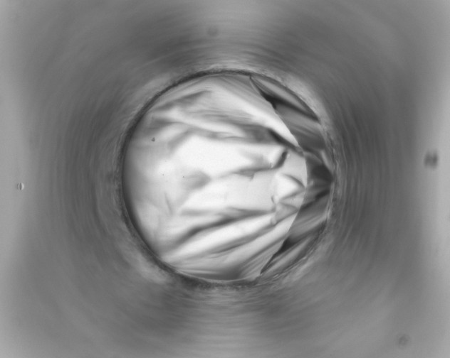 X0000090480481200708102200