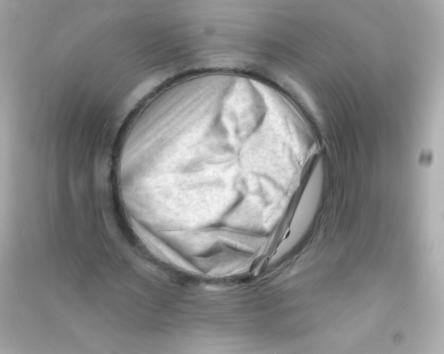 X0000090480483200708102200