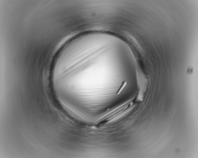 X0000090480484200708102200