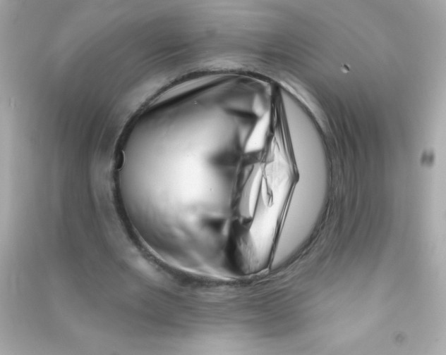 X0000090480485200708102200