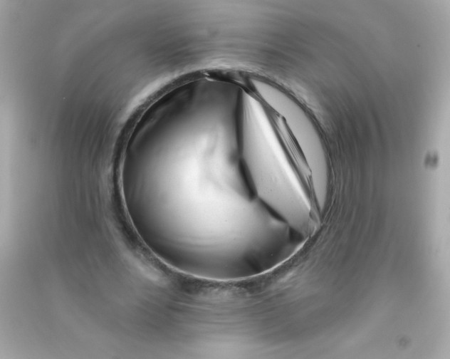 X0000090480488200708102200