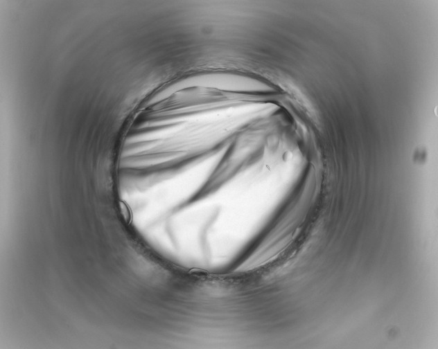 X0000090480489200708102200