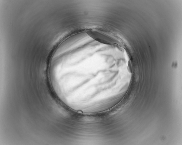 X0000090480490200708102200