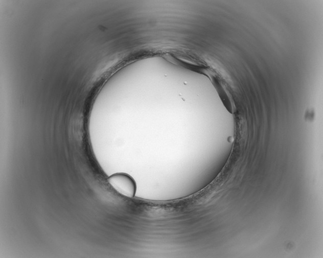 X0000090480494200708102200