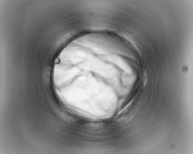 X0000090480495200708102200