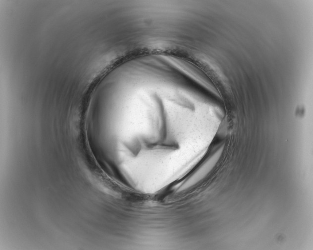 X0000090480496200708102200