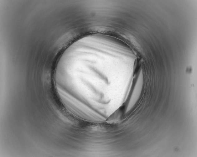 X0000090480500200708102200