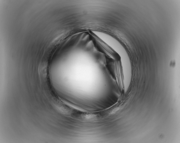 X0000090480501200708102200