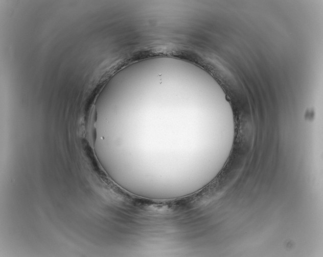 X0000090480502200708102200