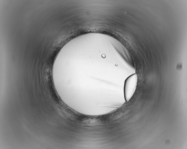 X0000090480503200708102200