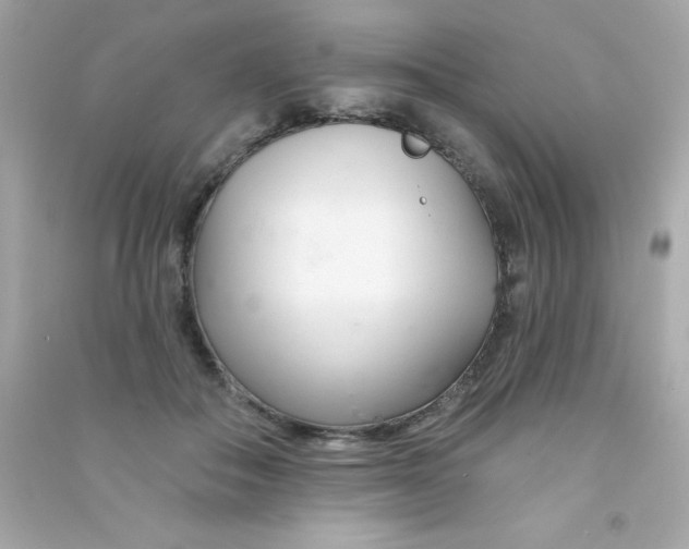 X0000090480506200708102200