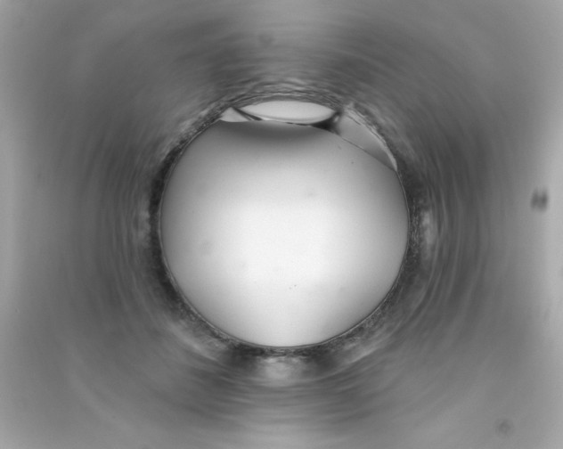 X0000090480508200708102200