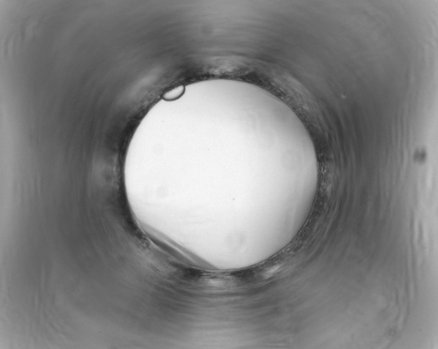 X0000090480510200708102200