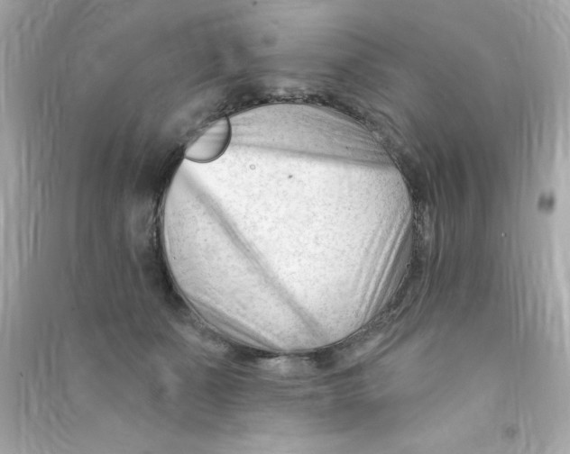 X0000090480511200708102200