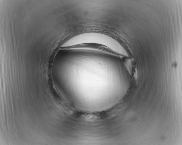 X0000090480512200708102200