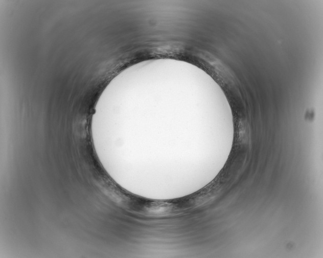 X0000090480514200708102200