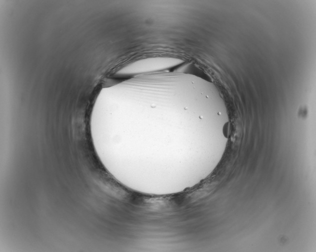 X0000090480516200708102200