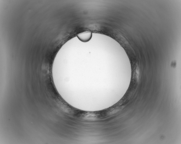 X0000090480518200708102200