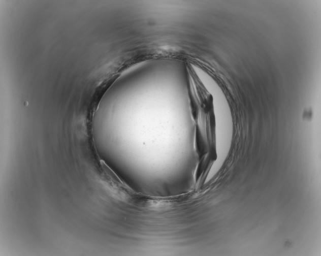 X0000090480520200708102200