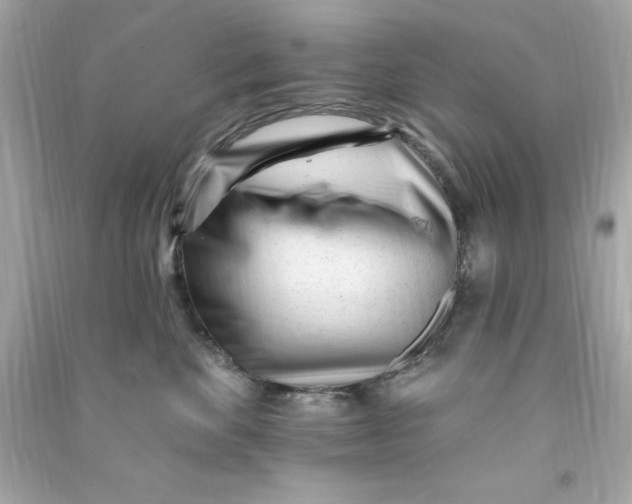 X0000090480524200708102200