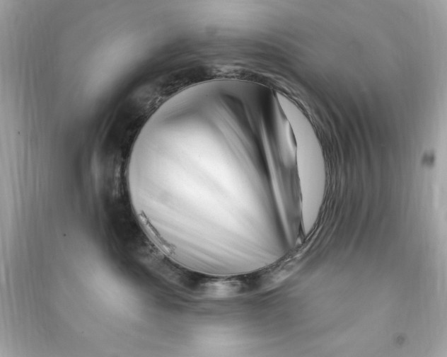 X0000090480525200708102200