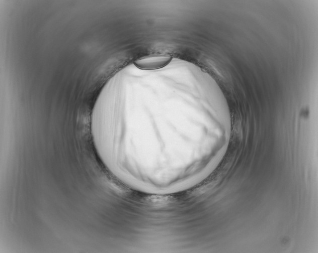 X0000090480526200708102200